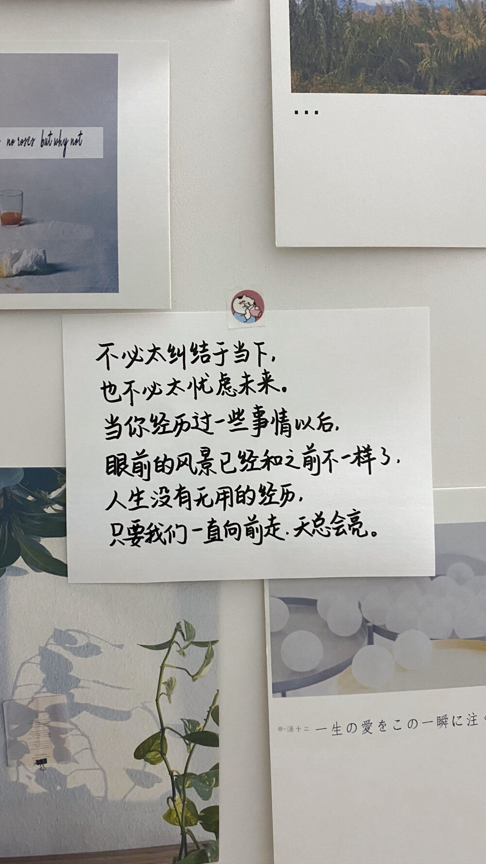 -渔十二