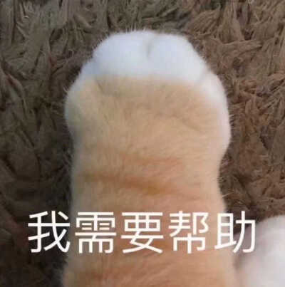 快乐