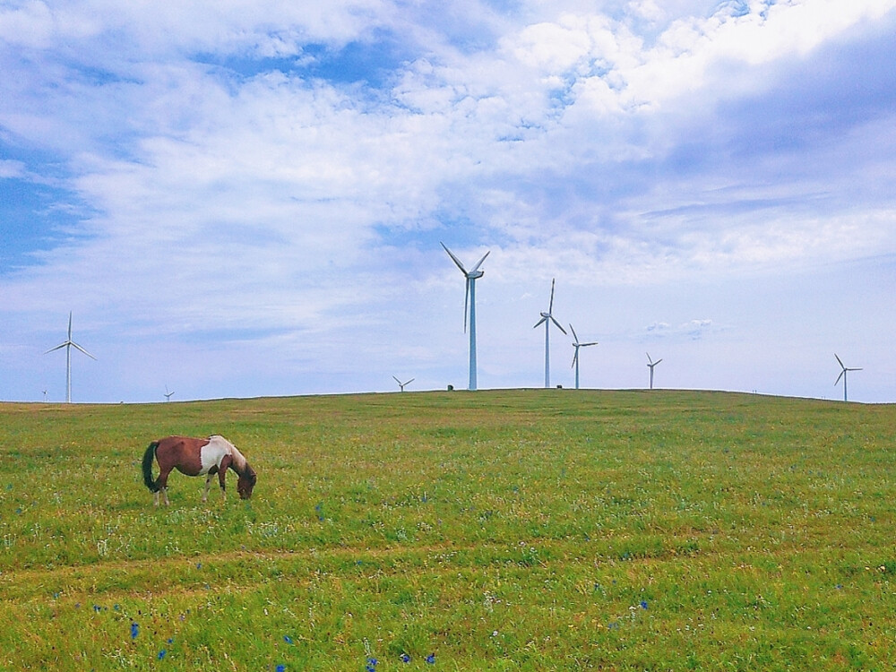 薄荷味儿的夏天