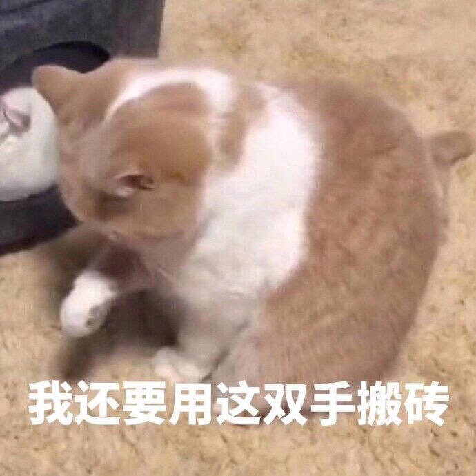 打工人表情包第四弹✓
