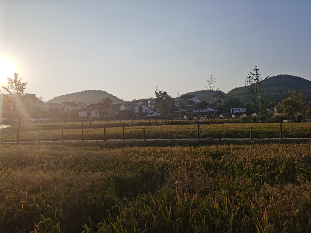 趁着周末天气晴朗前去江宁佘村踏秋赏景，这里的稻香令人惊喜，蓝的天、绿的水、老的街，还有那寻常巷陌间的江宁味道。
地址：佘村位于东山街道的上坊镇（从江宁主城区到达，约半小时的车程
一到佘村内）
无门票
人均消费：35元（吃喝）
特色推荐：南京佘村，主要是潘氏宗祠和潘氏住宅，它们紧挨一起，迄今已有三百多年的历史。1924年建成，整个建筑结构严谨，均为三进穿堂式高墙深院，属于徽派青砖黑瓦马头墙建筑风格，古色古香，好看极啦！
山水相依双龙湖、青龙山、黄龙山……构成一幅“醉”美的江宁田园风光。
美食推荐：佘村酸菜鱼
