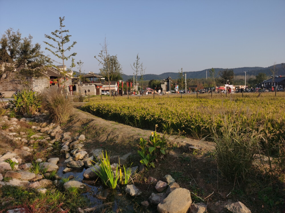 趁着周末天气晴朗前去江宁佘村踏秋赏景，这里的稻香令人惊喜，蓝的天、绿的水、老的街，还有那寻常巷陌间的江宁味道。
地址：佘村位于东山街道的上坊镇（从江宁主城区到达，约半小时的车程
一到佘村内）
无门票
人均消费：35元（吃喝）
特色推荐：南京佘村，主要是潘氏宗祠和潘氏住宅，它们紧挨一起，迄今已有三百多年的历史。1924年建成，整个建筑结构严谨，均为三进穿堂式高墙深院，属于徽派青砖黑瓦马头墙建筑风格，古色古香，好看极啦！
山水相依双龙湖、青龙山、黄龙山……构成一幅“醉”美的江宁田园风光。
美食推荐：佘村酸菜鱼
