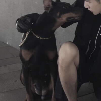情