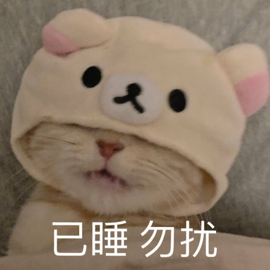 猫头像/表情包