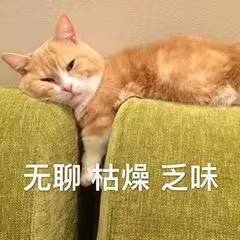 表情包 沙雕 猫狗