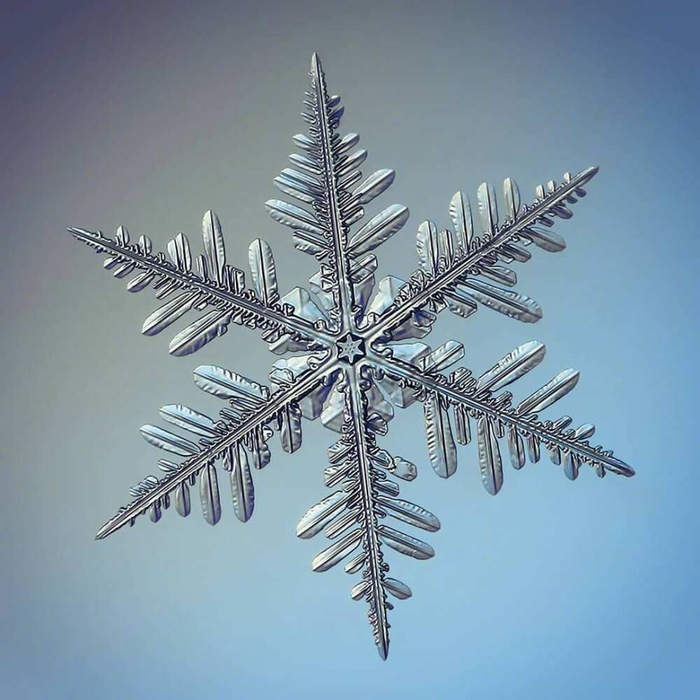 雪花形态