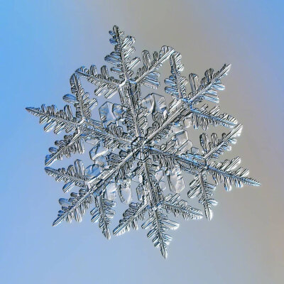 雪花图案