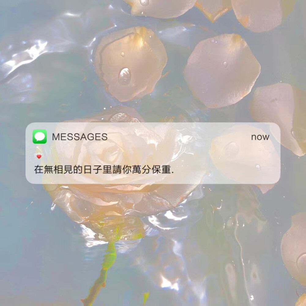 ᴍᴇssᴀɢᴇs 背景图