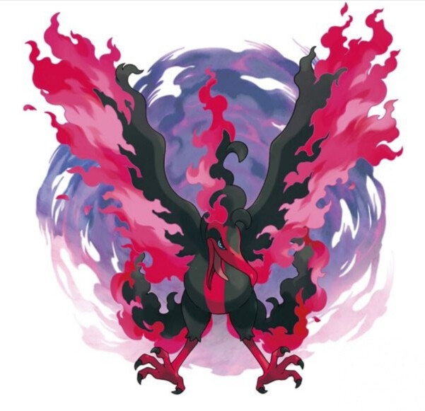 火焰鸟迦勒尔形态