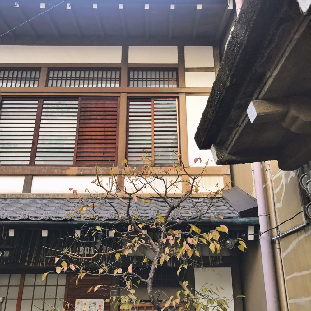 京都