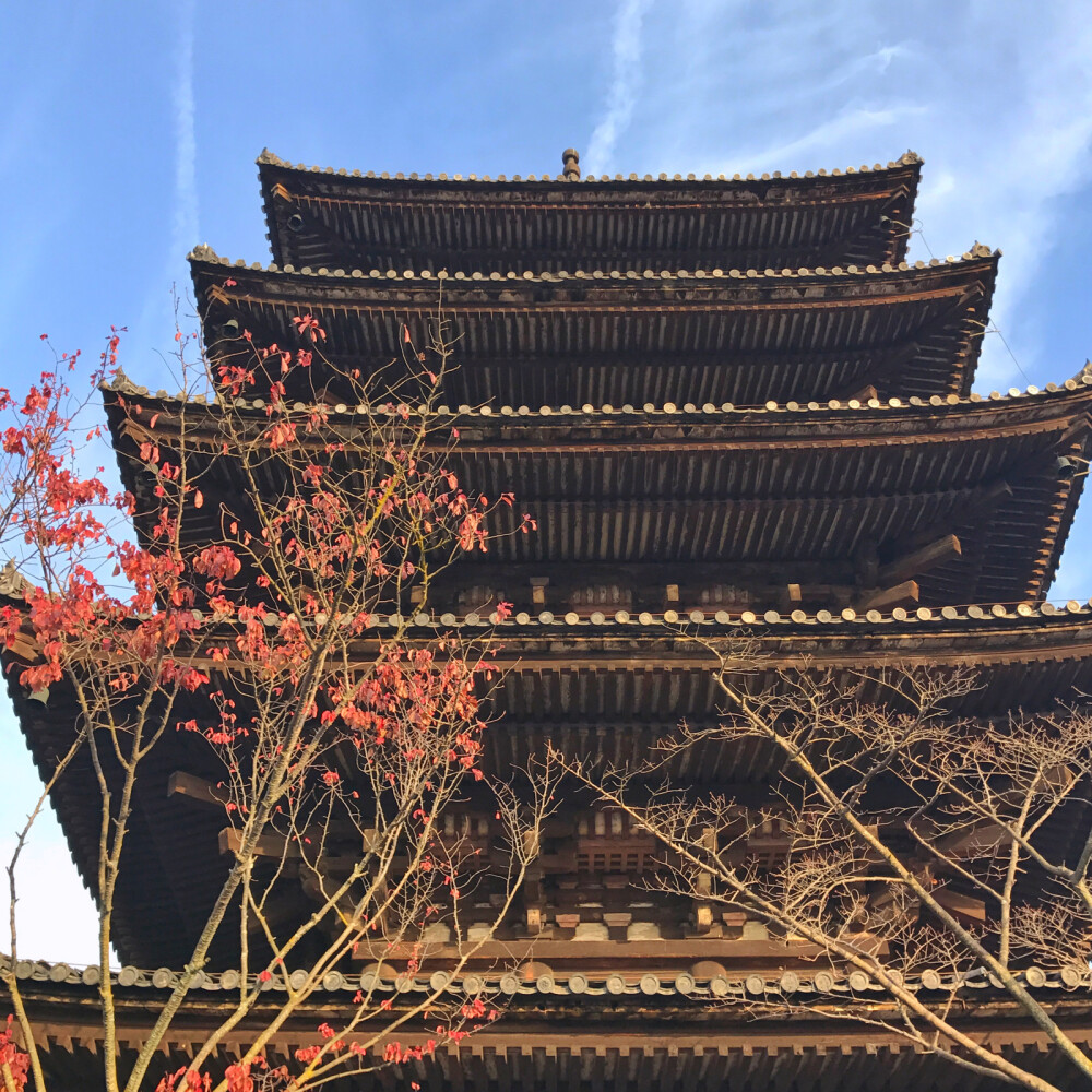 京都