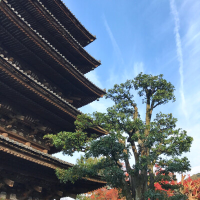 京都