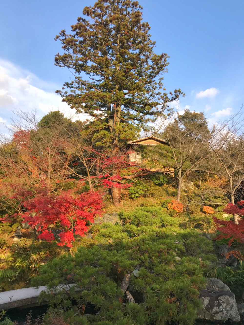 京都