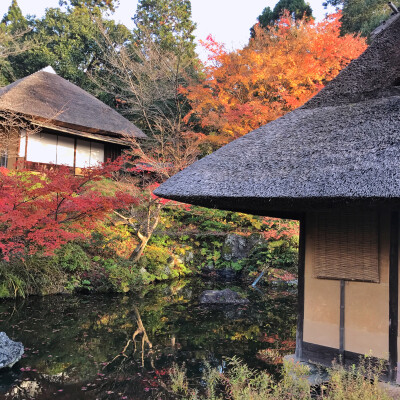 京都