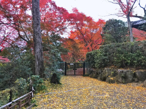 京都