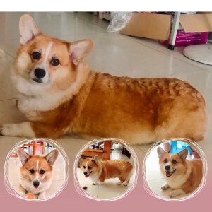 娜娜