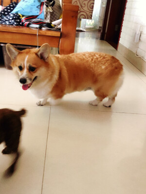 娜娜