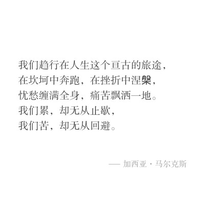 文字/句子
截自APP小独