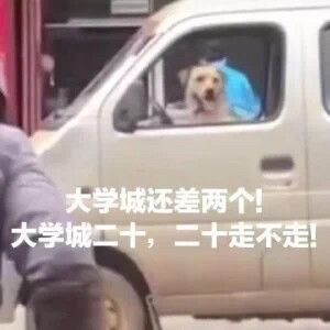 表情图片