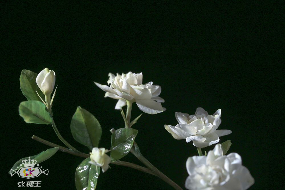 自然系糖花 | 栀子花 Gardenia ✿ 