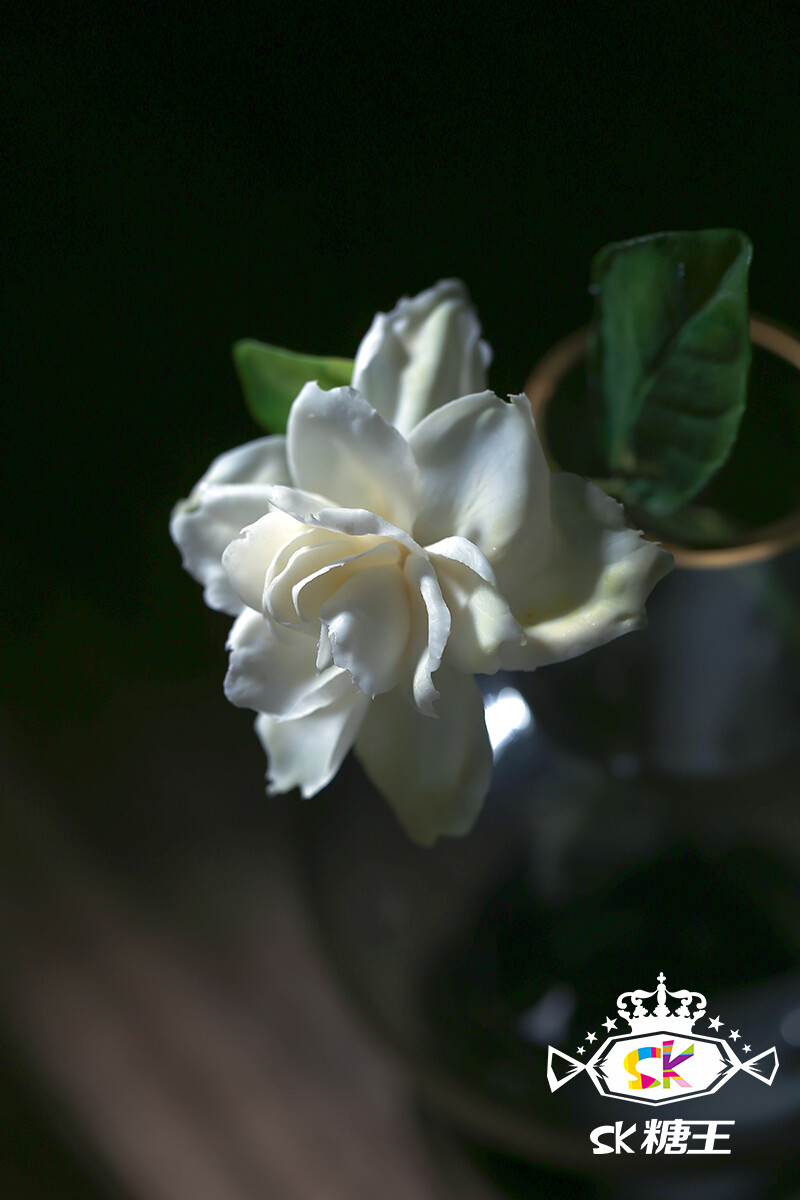 自然系糖花 | 栀子花 Gardenia ✿ 