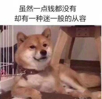 表情包