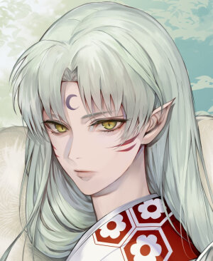 杀生丸&犬夜叉（twi：tbc0） ​​​