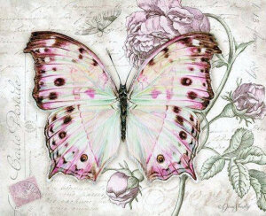 [cp]漂亮蝴蝶彩铅手绘

作者： Jane Shasky ​​​[/cp]