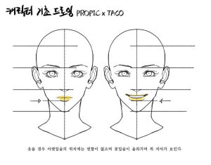 人体比例 教程
作者：타코작가 ​​​