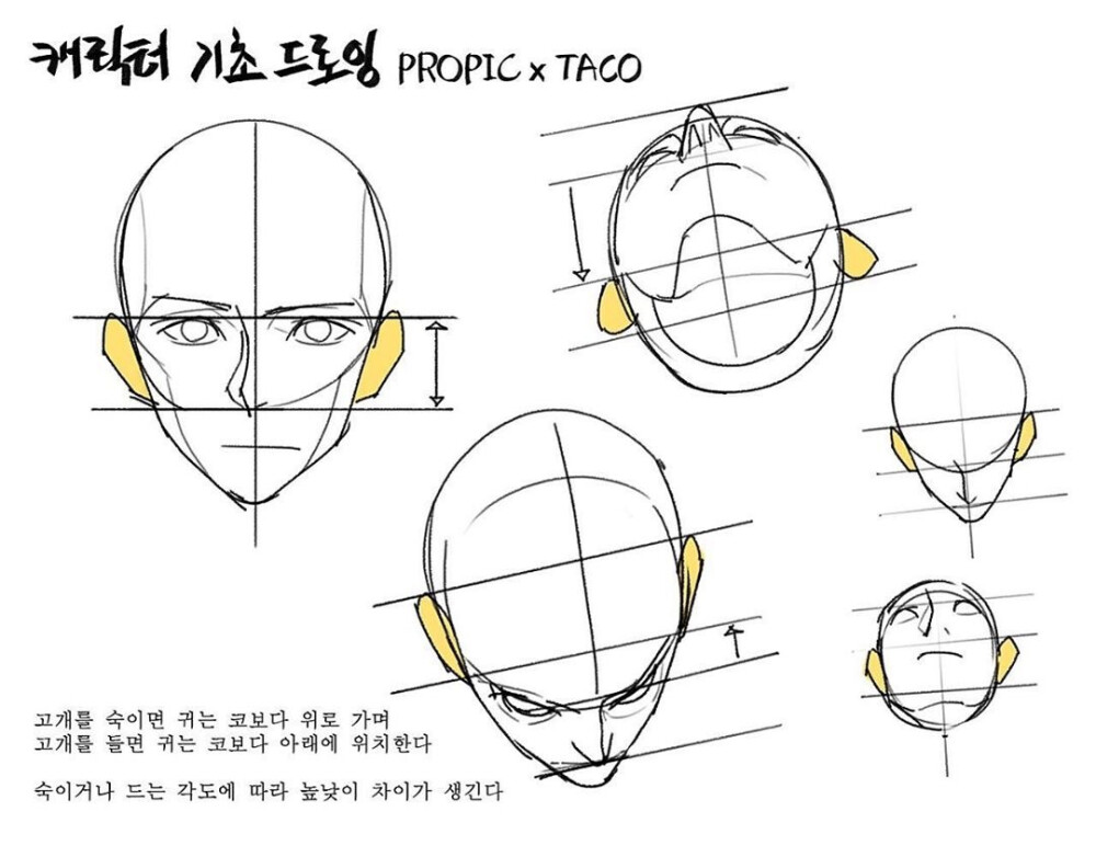 人体比例 教程
作者：타코작가 ​​​