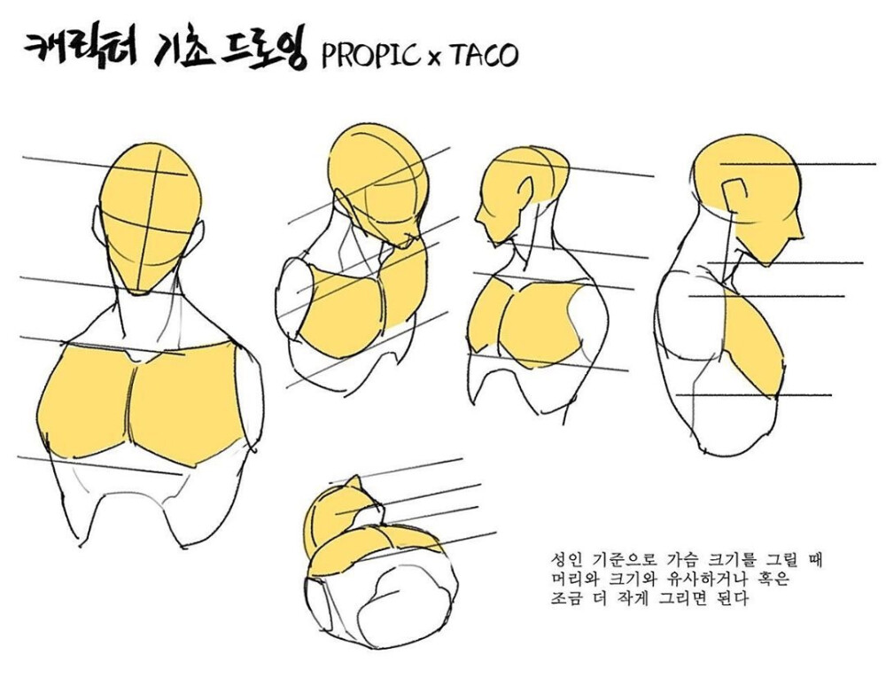 人体比例 教程
作者：타코작가 ​​​