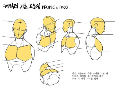 人体比例 教程
作者：타코작가 ​​​