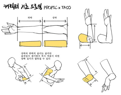 人体比例 教程
作者：타코작가 ​​​