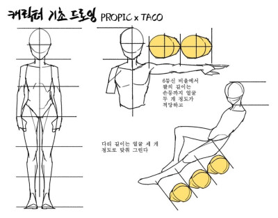 人体比例 教程
作者：타코작가 ​​​