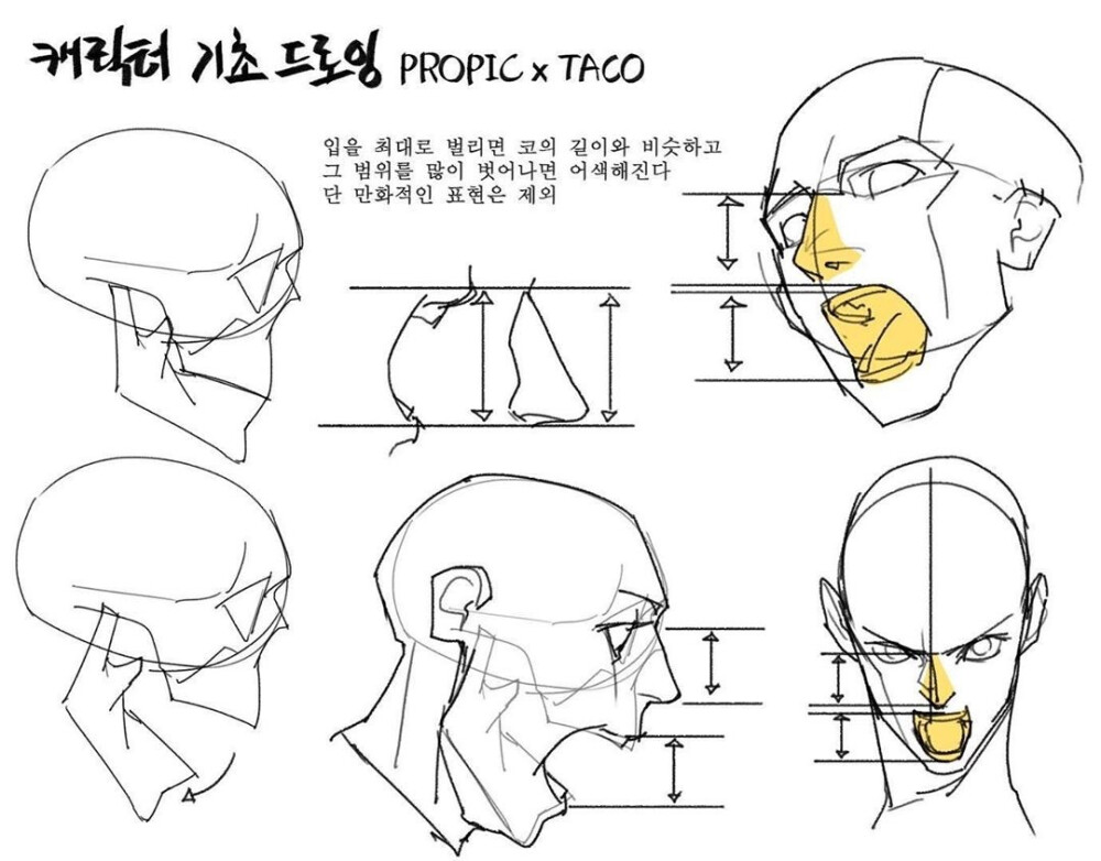 人体比例 教程
作者：타코작가 ​​​