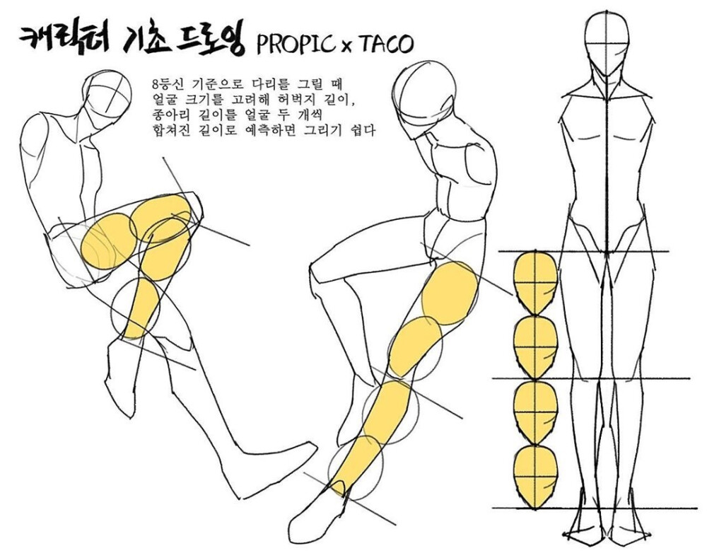 人体比例 教程
作者：타코작가 ​​​