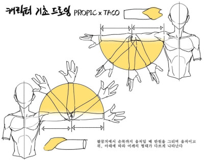 人体比例 教程
作者：타코작가 ​​​