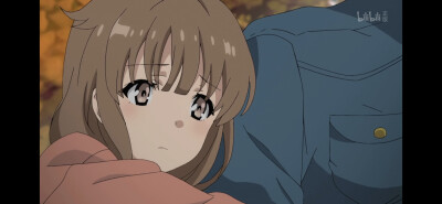 梓川枫