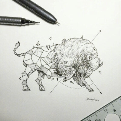 动物 几何 菲律宾插画师 Kerby Rosanes