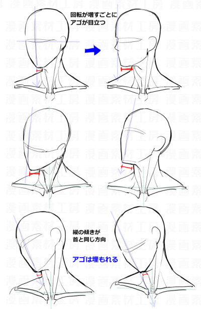 人物头部画法