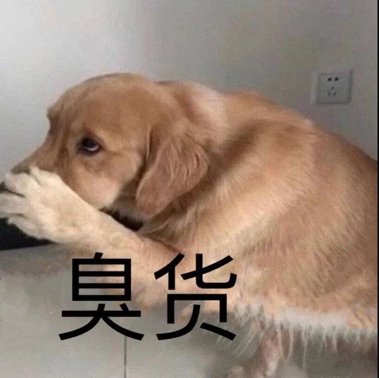 哇哇哇