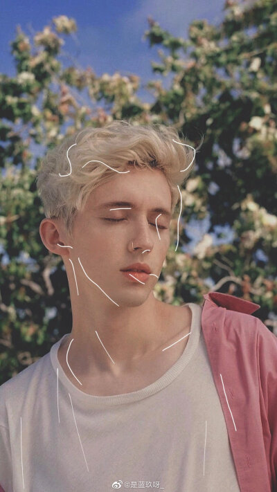 Troye