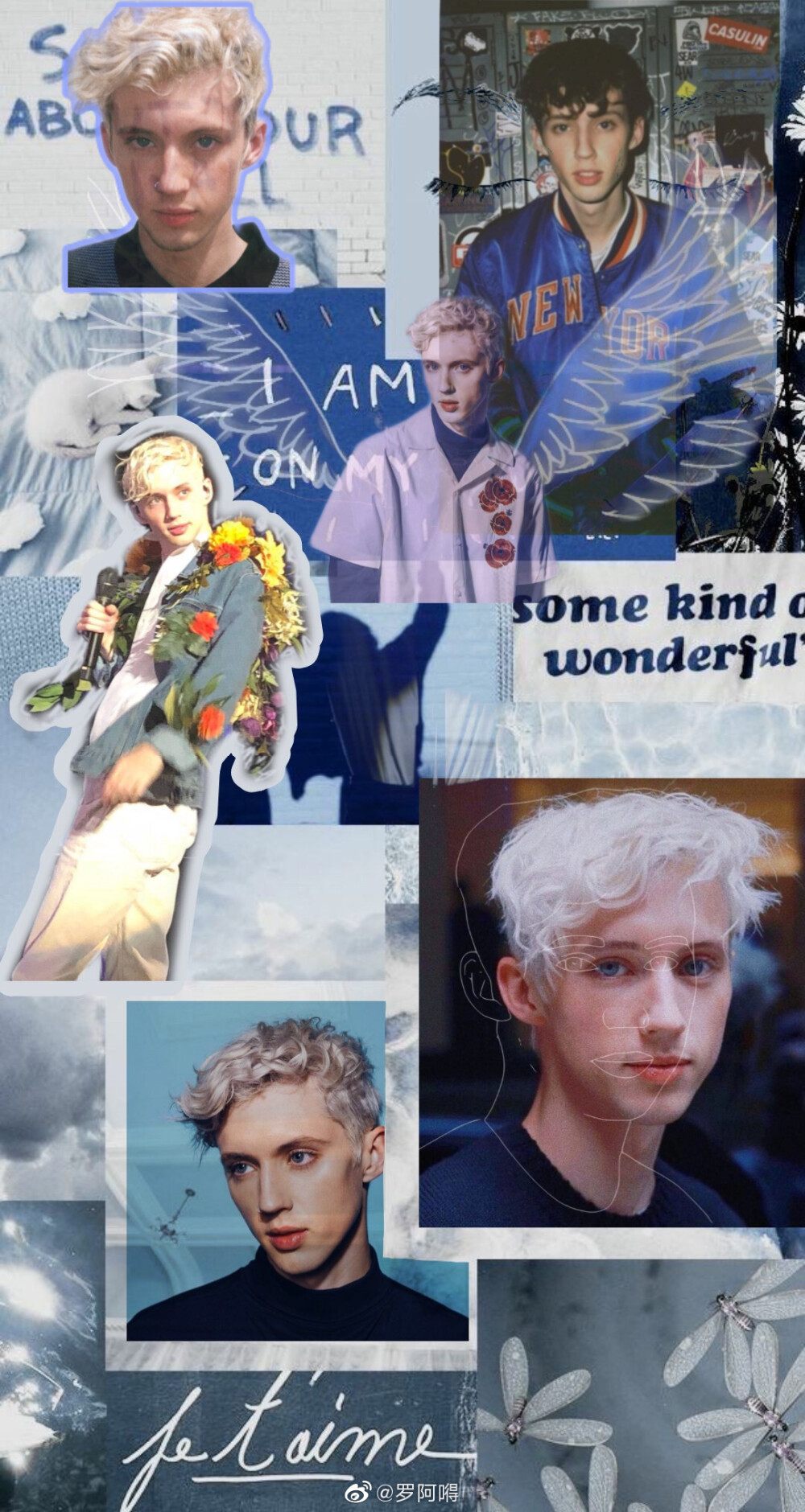 Troye