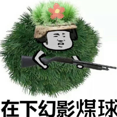 华晨宇