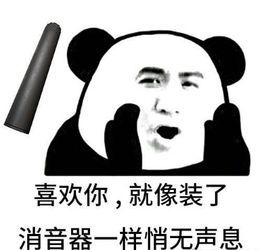 华晨宇