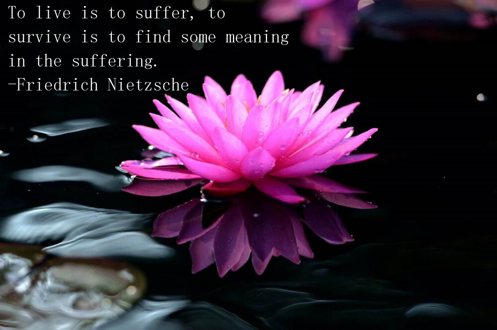 To live is to suffer, to survive is to find some meaning in the suffering.
-Friedrich Nietzsche 