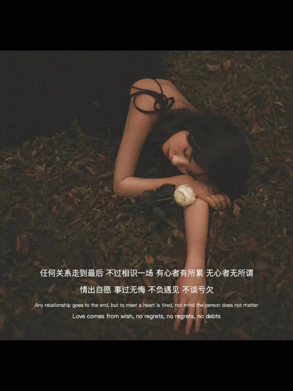 ❥»
✨ 热门背景图 ✨