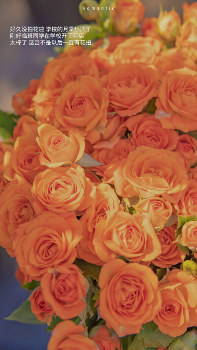 暖色调的秋天
©️Romantic百分百