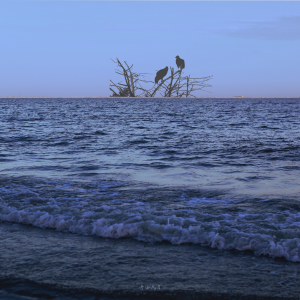 ᴸᵒᵛᵉ ᶜᵃⁿ'ᵗ ᵇᵉ ʰⁱᵈᵈᵉⁿ,ᵗʰᵉ ʷⁱⁿᵈ ʷⁱˡˡ ᵗᵉˡˡ ᵗʰᵉ ʷʰᵒˡᵉ ʷᵒʳˡᵈ.
喜欢是藏不住的,风会告诉整个人间。

©青山风月_