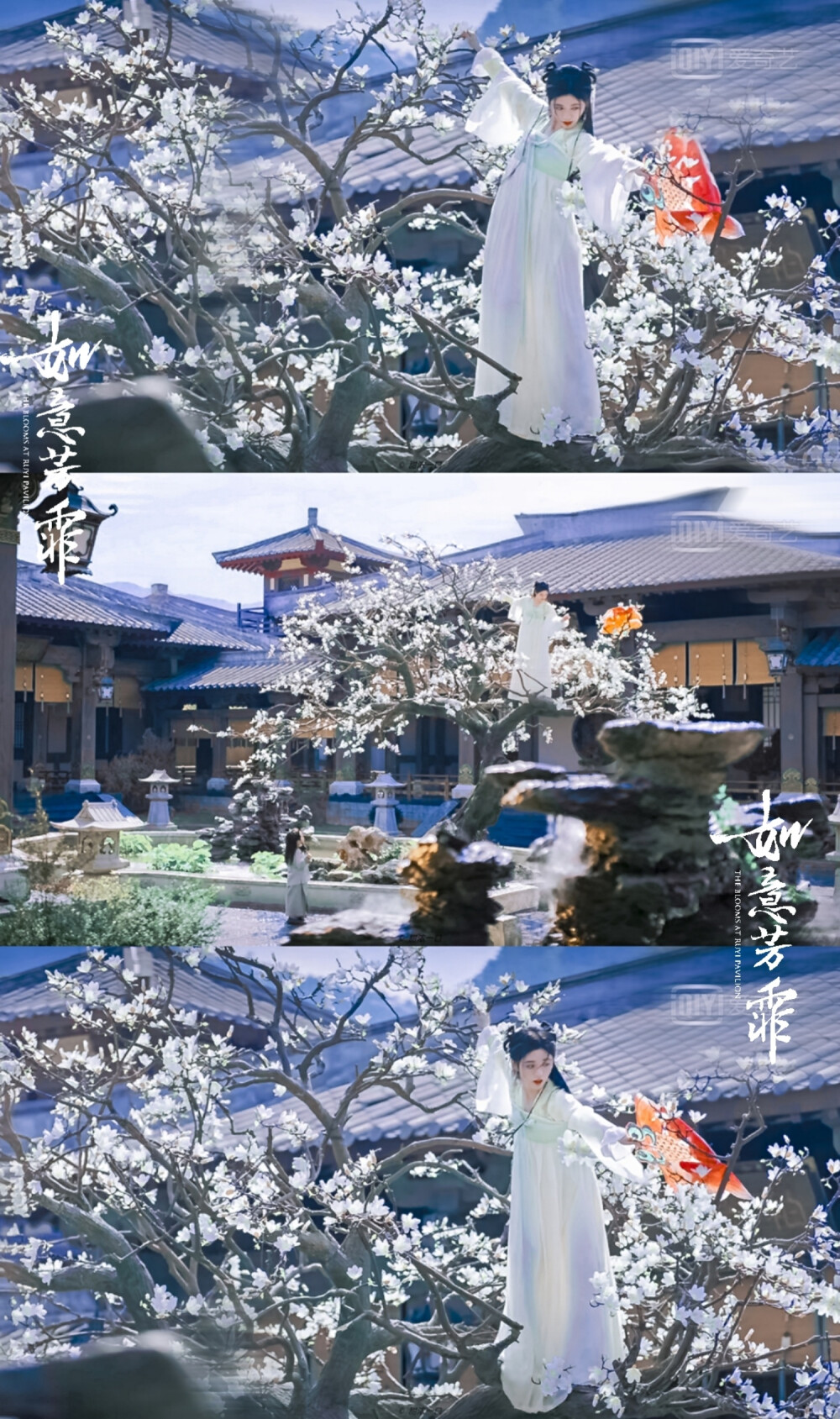 鞠婧祎｜傅容
cr.甜浓一口